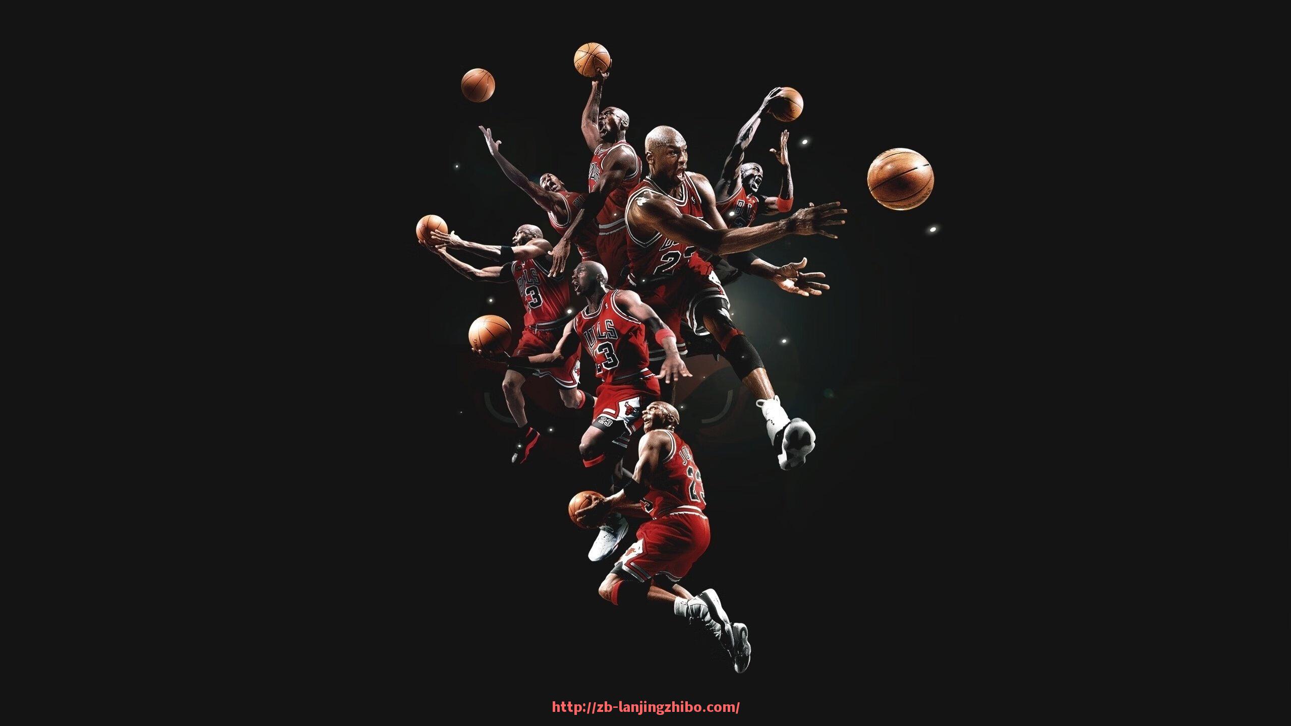 蓝鲸体育直播-健身器材品牌大全及市场口碑分析